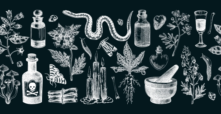 Witchcraft hand drawn vector illustrations. Bohemian seamless ribbon. Halloween background. Witch herbs, poisonous plants, magic ingredients sketches on chalkboard. NOT AI generated